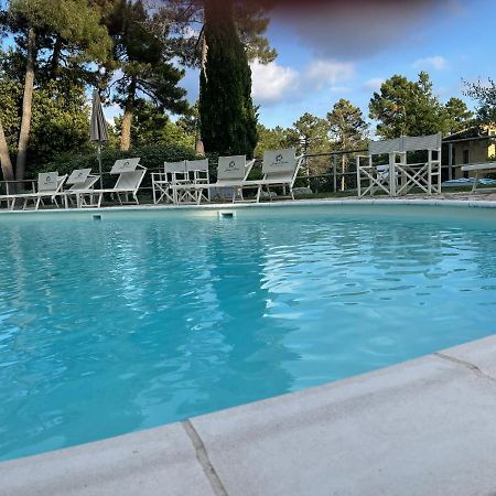 Tuscany Relax H&H - Helly House Apartment San Vivaldo Exterior foto