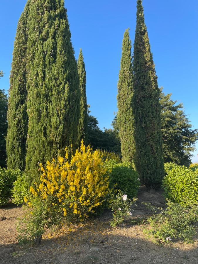 Tuscany Relax H&H - Helly House Apartment San Vivaldo Exterior foto